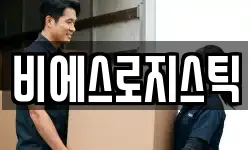 비에스로지스틱