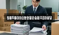 원룸투룸이사소형화물운송제주조아용달