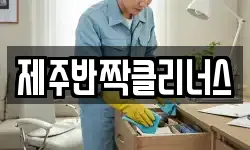 제주반짝클리너스