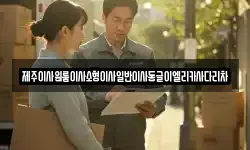제주이사원룸이사소형이사일반이사동글이엘리카사다리차