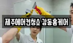 제주 서귀포시 청소,입주청소,사무실청소,에어컨청소