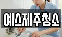 예스제주청소