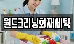 월드크리닝화재세탁