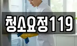청소요정119