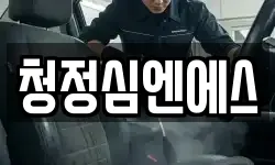 청정심엔에스