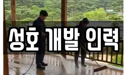 성호 개발 인력