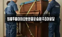 원룸투룸이사소형화물운송제주조아용달