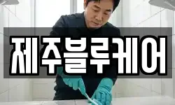 제주블루케어
