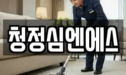청정심엔에스