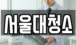 서울대청소
