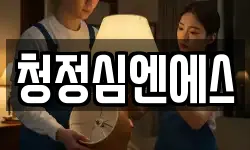 청정심엔에스