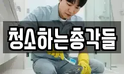청소하는총각들