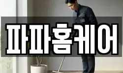 파파홈케어