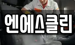 엔에스클린