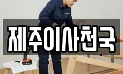 제주이사천국