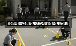 제주용달원룸투룸이사,학생사무실이사운송운반포장이사