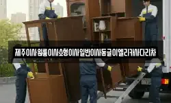 제주이사원룸이사소형이사일반이사동글이엘리카사다리차