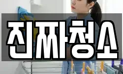 진짜청소