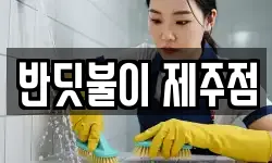 반딧불이 제주점
