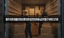 제주이사원룸이사소형이사일반이사동글이엘리카사다리차