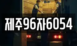 제주96자6054