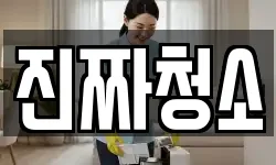 진짜청소