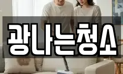 광나는청소