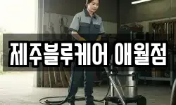 제주블루케어 애월점