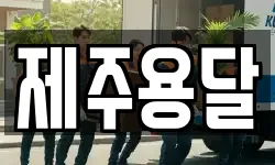 제주용달
