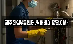 제주잔심부름센터.퀵서비스.용달.이사