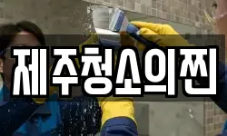 제주청소의찐