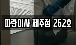 파란이사 제주점 262호