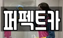 퍼펙트카