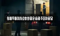 원룸투룸이사소형화물운송제주조아용달