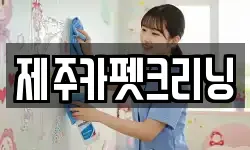 제주카펫크리닝