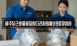 제주당근화물용달사다리차원룸보관포장이사