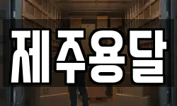 제주용달