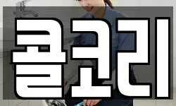 콜코리