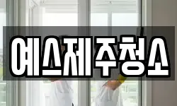 예스제주청소