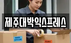 제주대박익스프레스