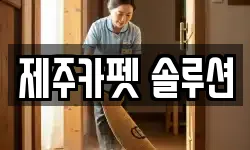 제주카펫 솔루션