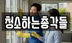 청소하는총각들