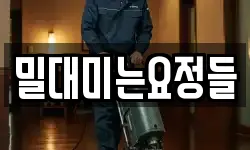밀대미는요정들