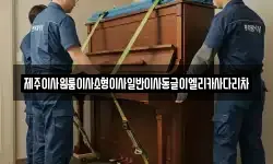 제주이사원룸이사소형이사일반이사동글이엘리카사다리차