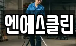 엔에스클린