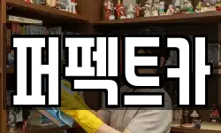 퍼펙트카
