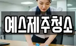예스제주청소