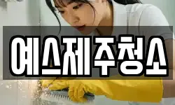 예스제주청소