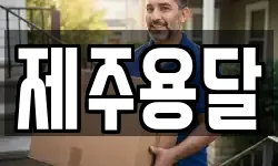 제주용달