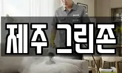제주 그린존
